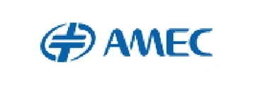 Advanced Micro-Fabrication Equipment Inc. (AMEC)
